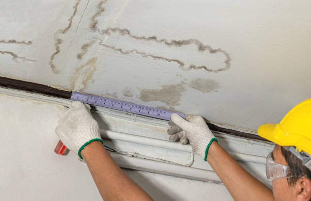Reliable Mold Remediation contractor in Livingston, TX by Water Damage Irwin